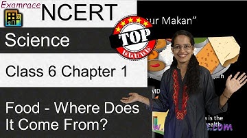 NCERT Class 6 Science Chapter 1: Food - Where Does It Come From? (NSO/NSTSE) | doorsteptutor.com