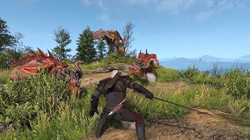 [W3EE Redux Next Gen v1.38a] The Wyvern Phantoms