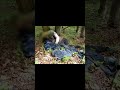 Ukraine War: The Lesser-Known News 5/19/26