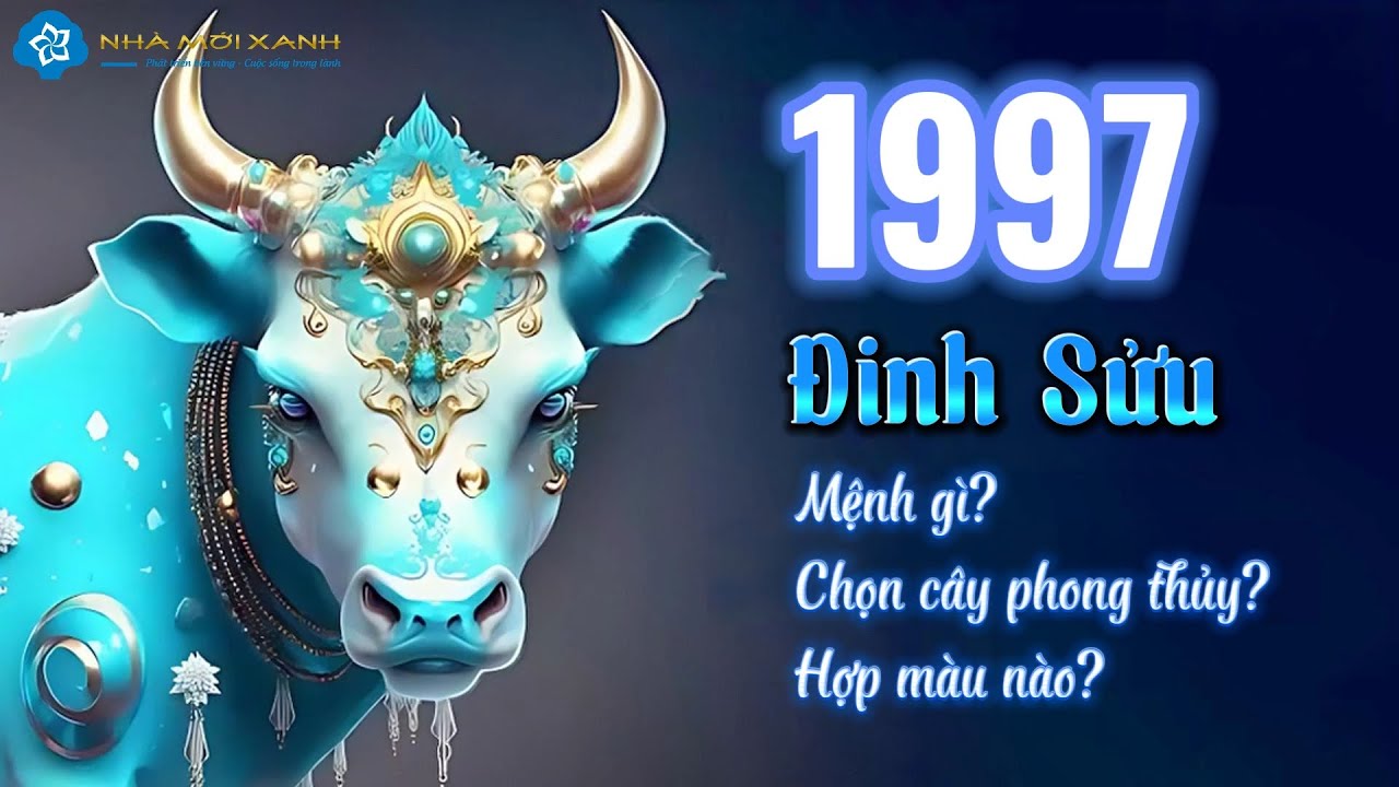 Người sinh năm 1997 (Tuổi Đinh Sửu) hợp cây gì - màu gì? - Phong thủy tuối Đinh Sửu | Nhà Mới Xanh