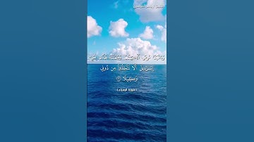 سورة الاسراء | القارئ ياسر الدوسري #قرآن #القرآن_الكريم #ياسر_الدوسري #اكسبلور #لايك #راحة_نفسية