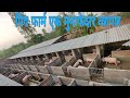 Pig Farm A Profitable Business | VIKAS LIVE STOCK | SAHARANPUR U.P 9058705146