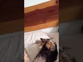 “Wow you look tired” yeah I slept like absolute shit, but she didn’t