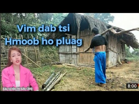 Video: Vim Li Cas Thiaj Tsis Nettle Plev