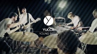 YUCCA | Young Birds