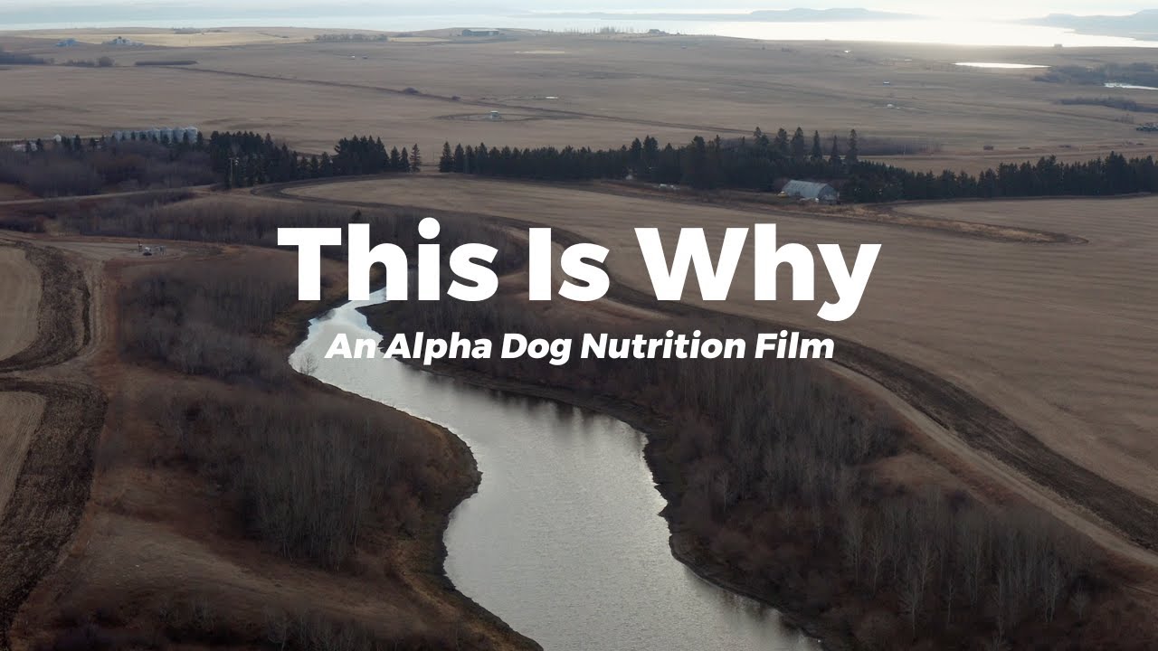 THIS IS WHY: An Alpha Dog Nutrition Film