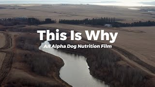 THIS IS WHY: An Alpha Dog Nutrition Film by Alpha Dog Nutrition 616 views 1 year ago 5 minutes, 21 seconds