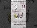 In One Minute: Miniature Leaf Stitch Embroidery Tutorial (Easy for Beginners)