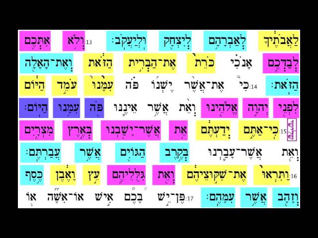Nitzavim Vayeilech 16