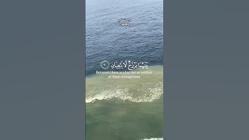 ياسر الدوسري سورة الرحمن #ياسر_الدوسري #اكسبلور #yasseraldossary #آيات #حالات_واتس #المصحف