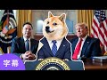 【緊急速報】柴犬DOGEがアメリカを救う｜トランプとイーロンの新時代が幕を開ける