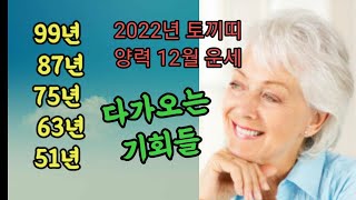 2022년 토끼띠 양력 12월운세 다가오는 기회들 (상담 T. 010 5169 3747 강강무강)