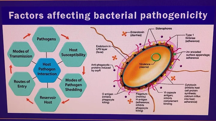 PATHOGENICITY VS VIRULENCE AN EVOLUTIONARY PROPERTY