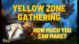 HOW MUCH T8 GATHERER CAN MAKE IN SAFE ZONE - ALBION ONLINE