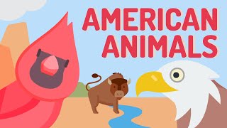 AMERICAN Animal Guessing Game | For Teachers and Kids | Teaching Resource | Timed Quiz screenshot 4