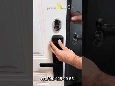 Биометрический замок со