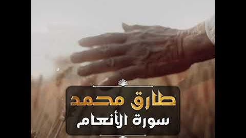 قرآن الكريم بصوت طارق محمد 😊🖤 اجمل حالات واتس اب دينية سورة الأنعام 🎧تلاوة خاشعة