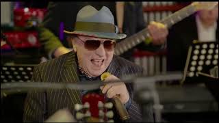 Van Morrison   Live at Real Studios   Box England   2021