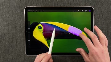 Editing Photos in Procreate - How to Change Colors on a Photograph
