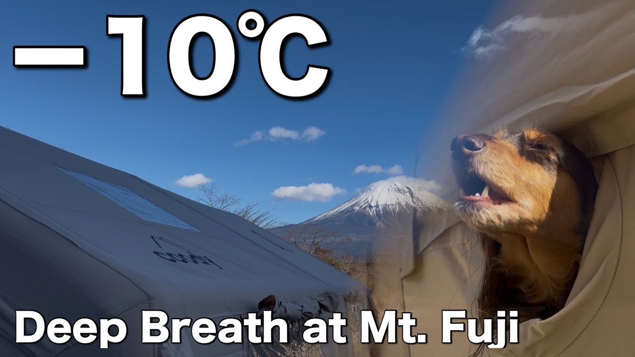 Гора Фудзи🗻ASMR🐶Япония🐶Глубокое дыхание при -10°C. Расслабляющий отдых на природе с моей собакой.