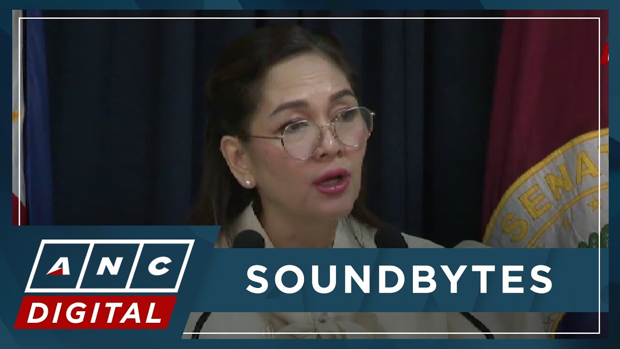 Hontiveros: Discontinued flood control projects, ASEAN funding can be source for emergency budget