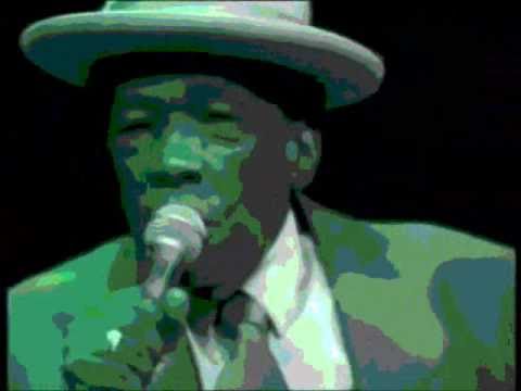 John Lee Hooker, Stevie Ray Vaughan, Robert Cray, ...