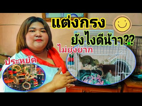 แต่งกรงกระรอก : สไตล์อายิว | กระรอก คลาสสิค
