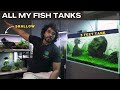 Jk aqua studio aquascaping fish tank room tour  tamil  ep  251