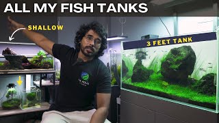 JK Aqua Studio: Aquascaping Fish Tank Room Tour | Tamil | EP  251