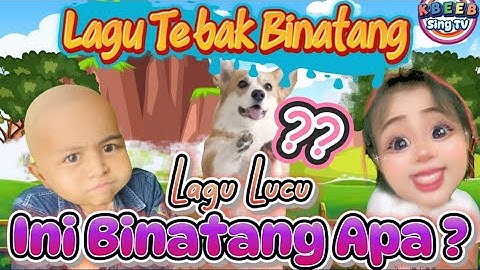 Lagu Tebak Binatang - Lagu Lucu #laguanak #suarabinatang #kbeebsingtv