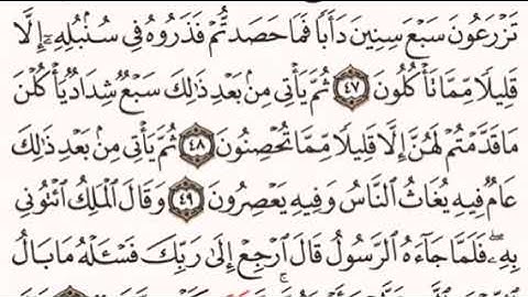 القرآن الكريم - ماهر المعيقلي - صفحة 241