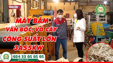 Kênh Truyền Hình Nhân Dân Đưa Tin Về Máy Băm Ván Bóc, Vỏ Cây 3A55KW | LH: 02422050505