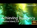 SCUBA Achieving Buoyancy - Catalina Island, CA 2023 - 4k