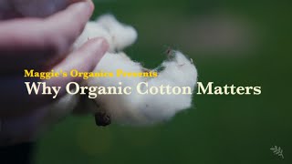 Beyond the Stitch: Why Organic Cotton Matters