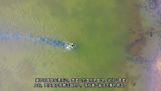 d574a887 b215 4d66 a296 e8e431b2ab70