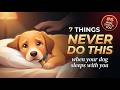 Never do these 7 things when your dog sleeps with you — he may be tolerating you, not trusting you