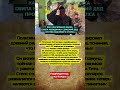 КАК КОНСЕРВНАЯ БАНКА СБИЛА НЕВИДИМКУ: СЕРБСКИЙ ДЕД ПРОТИВ ХВАЛЁНОГО СТЕЛСА