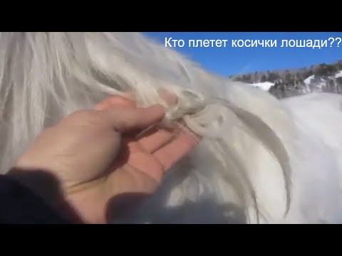 Кто плетет косички лошади по ночам???