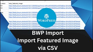 Import Featured Images via CSV in WordPress | BWP Import | Bili Plugins