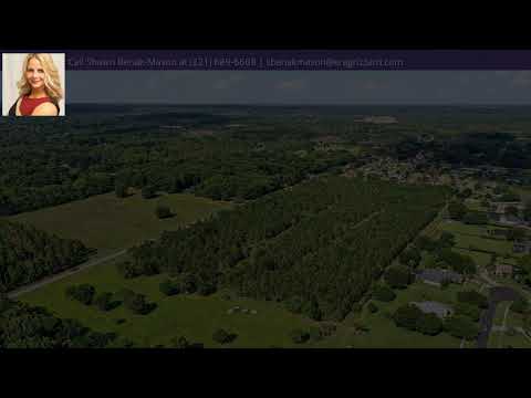 7650 Dudley Avenue, Mount Dora, FL home video tour