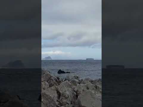 Charif LMARTIL LIVEFest2024 12septembre2022 Duo 06999888 20302099 Baby Duo Musik