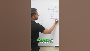 CML: How Leukemia Impacts Your Blood Cells