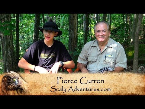 randy miller attorney See a Frilled Dragon and a Blue-tongued Skink