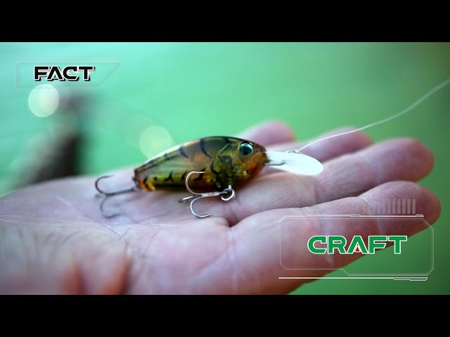 福島健 FACT CRAFT 解説 - YouTube