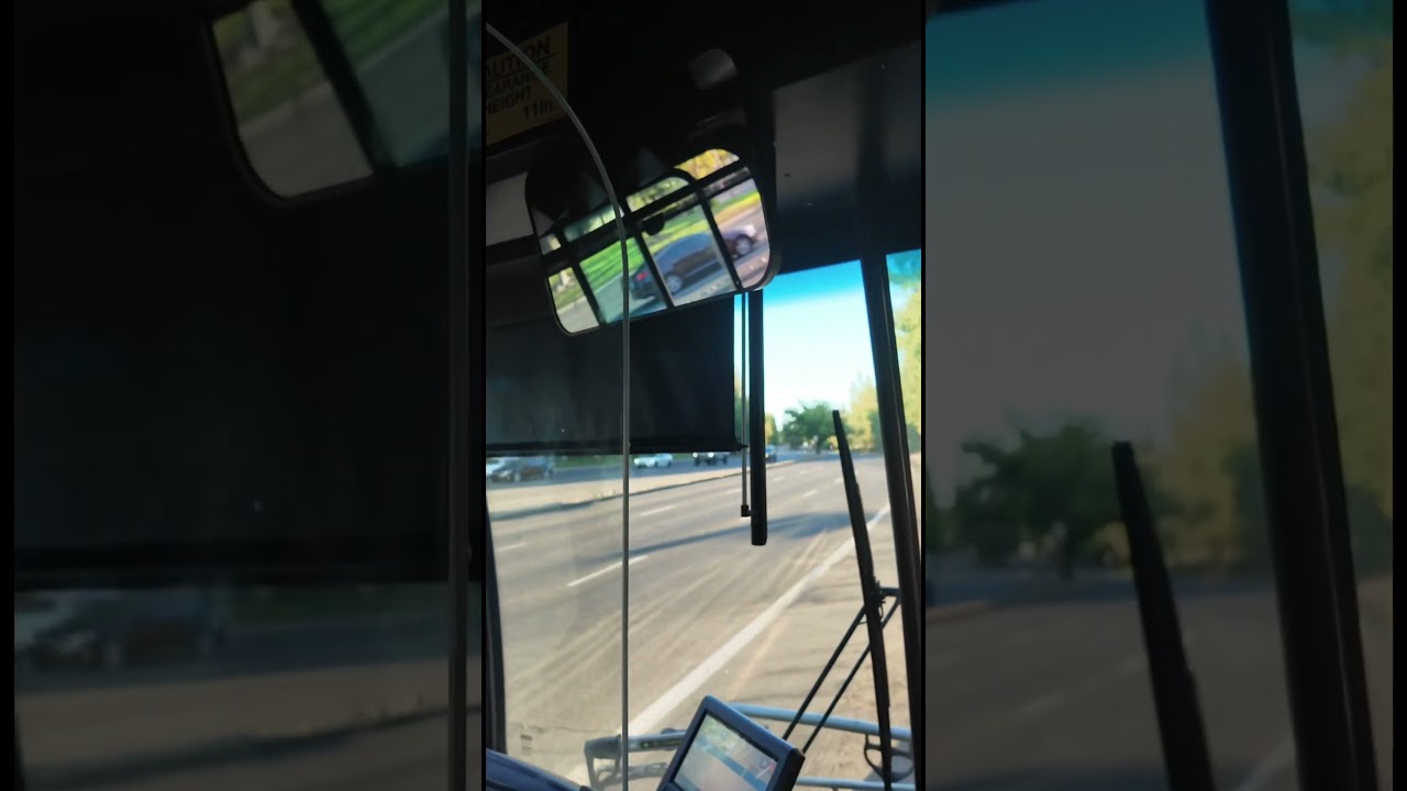 Посадите водителя автобуса в клетку для безопасности!