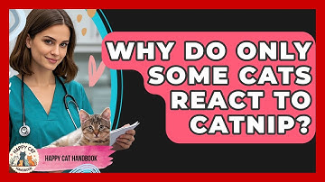 Why Do Only Some Cats React To Catnip? - Happy Cat Handbook
