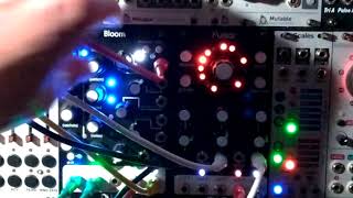 Qu-Bit Electronix Pulsar - Eurorack Module on ModularGrid