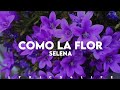 Selena  como la flor live from selenathe last concert letralyrics