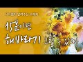 🌻돈 들어오는 해바라기 그리기 (15분 만에 보기)