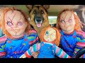 Chucky surprises trex  puppy with car ride chase
